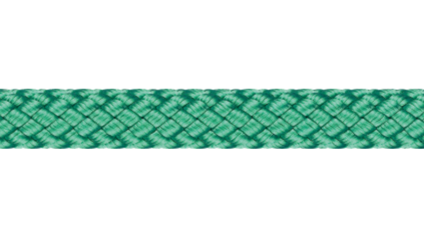 Cruiser XP - Universal Value for Money Cruising