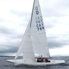 Dragon Main Sail
